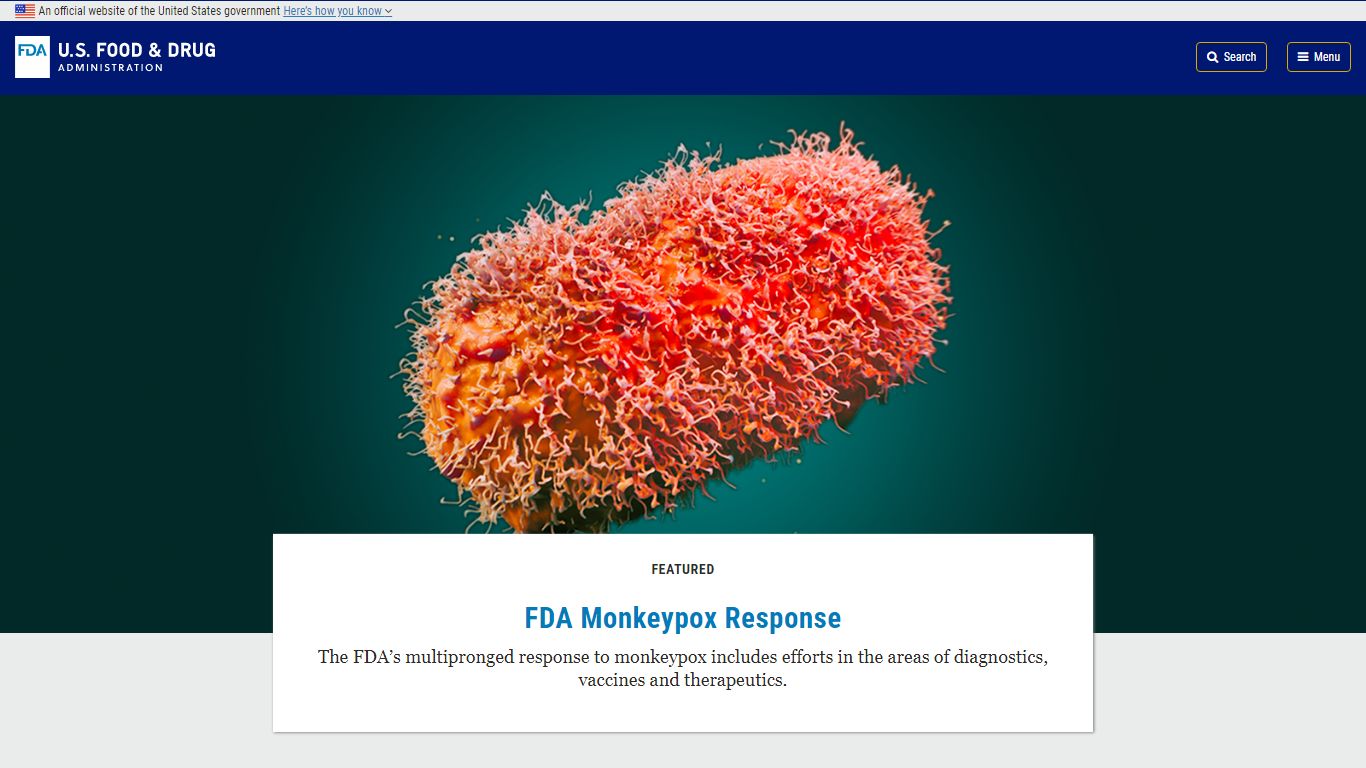 Drug Master Files: Guidelines | FDA